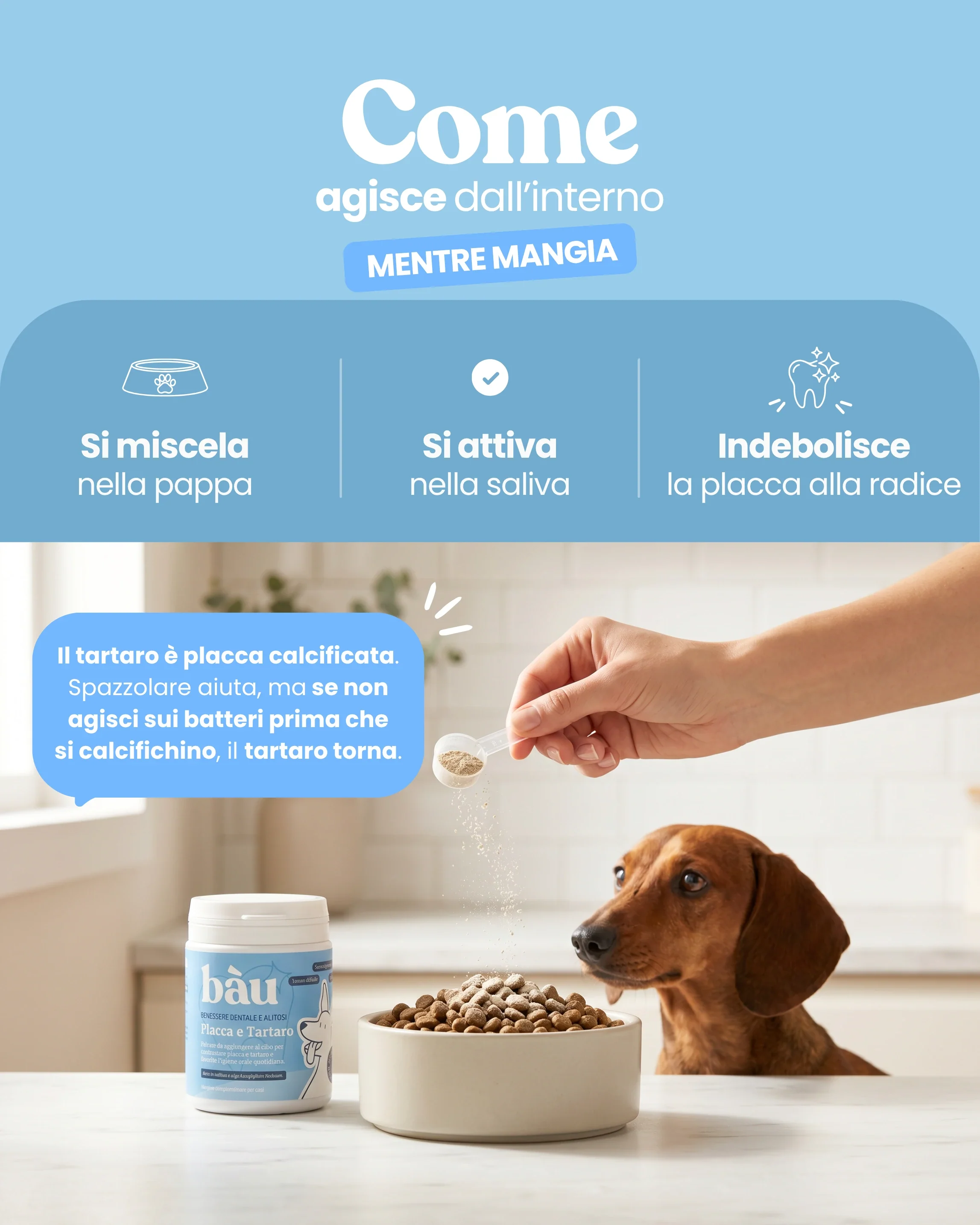 Placca e Tartaro - Image 4