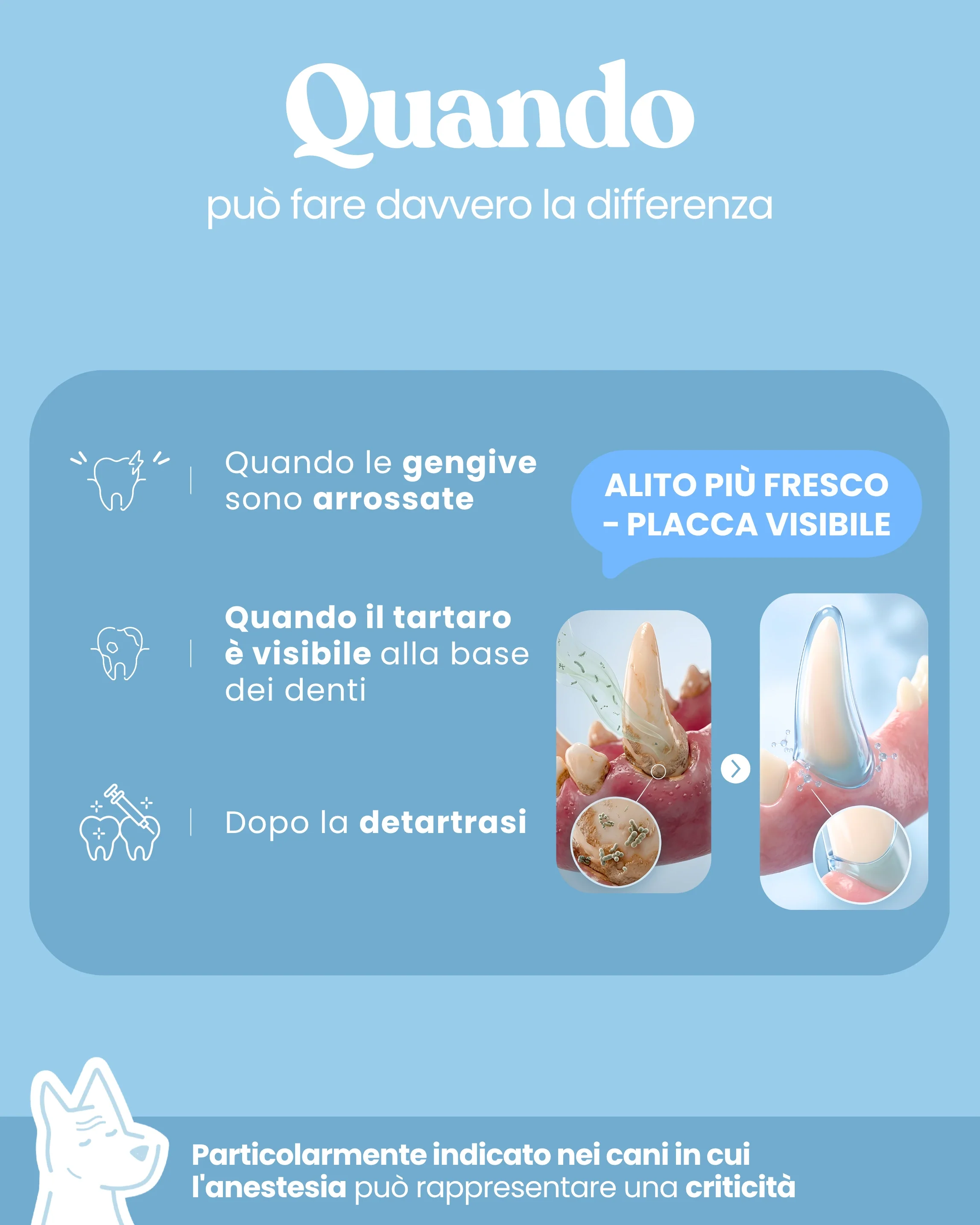 Placca e Tartaro - Image 5
