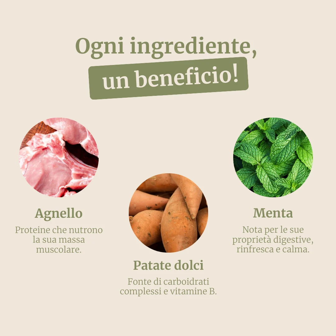 Crocchette con Agnello, Patate Dolci e Menta per cani adulti di taglia media - Image 3