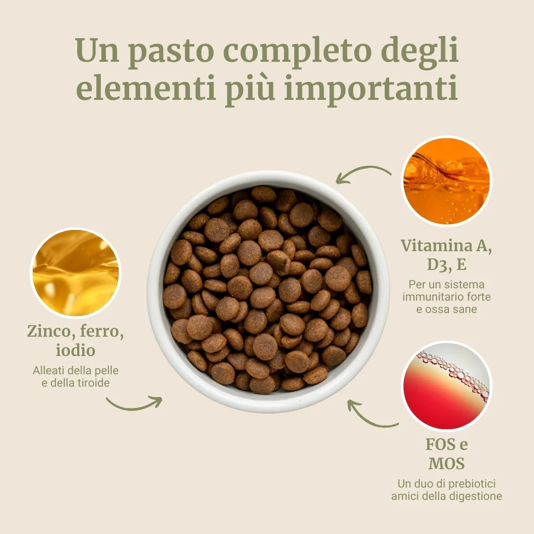 Crocchette con Agnello, Patate Dolci e Menta per cani adulti di taglia media - Image 4