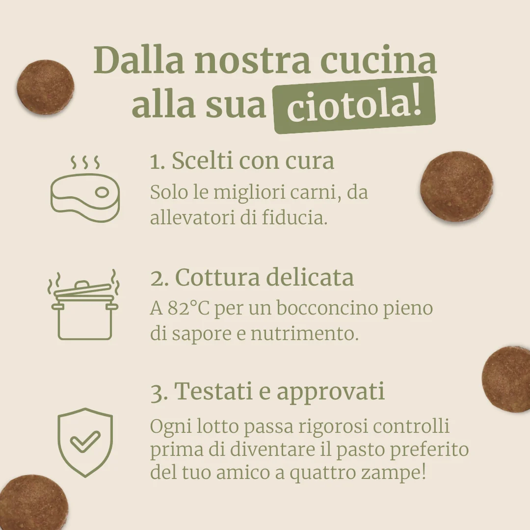 Crocchette con Agnello, Patate Dolci e Menta per cani adulti di taglia media - Image 5