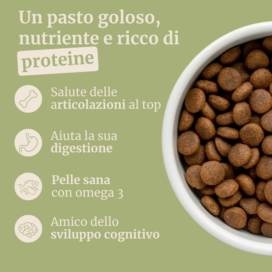 Crocchette con Agnello, Patate Dolci e Menta per cani adulti di taglia piccola - Image 2