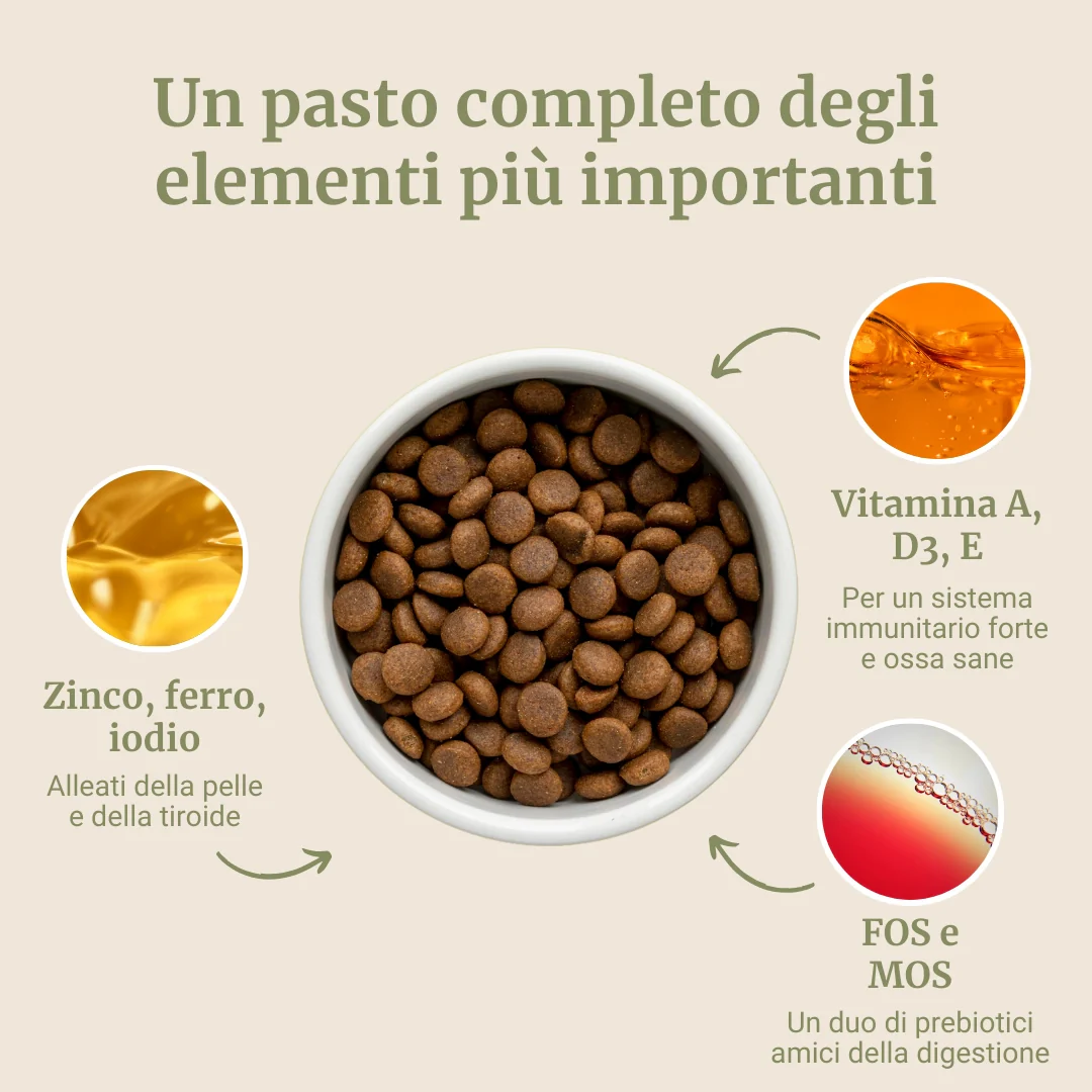 Crocchette con Agnello, Patate Dolci e Menta per cani adulti di taglia piccola - Image 4