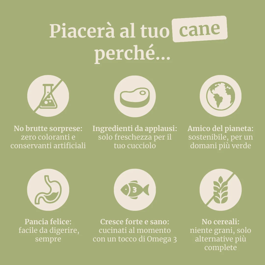 Crocchette con Agnello, Patate Dolci e Menta per cani adulti di taglia piccola - Image 6
