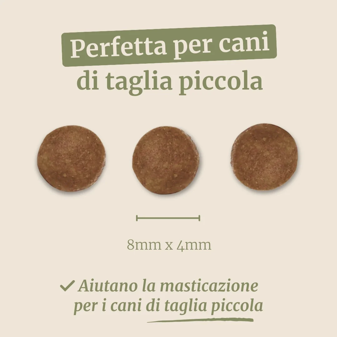 Crocchette con Agnello, Patate Dolci e Menta per cani adulti di taglia piccola - Image 7
