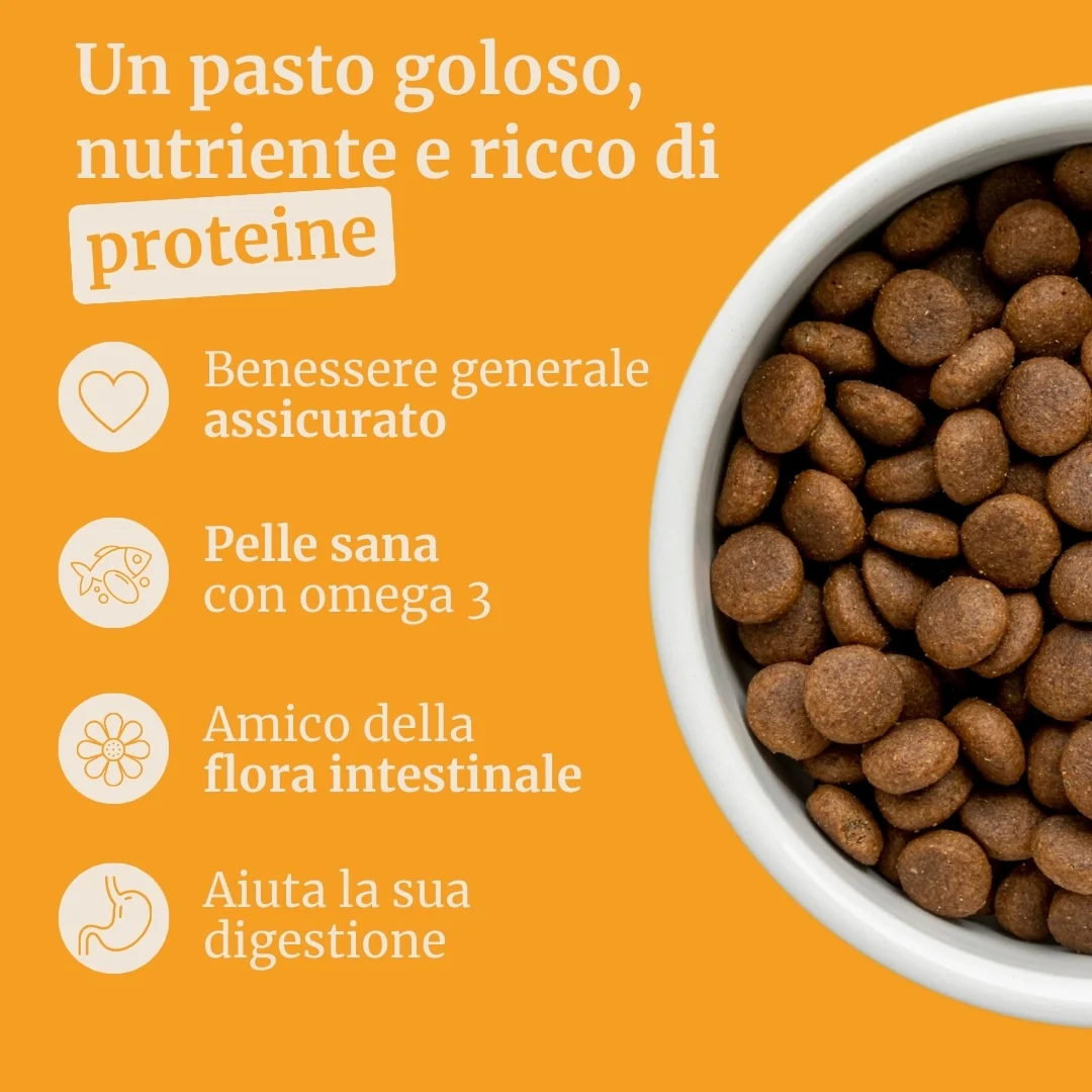 Crocchette con Anatra, Patate dolci e Arancia per cani adulti di taglia piccola - Image 2