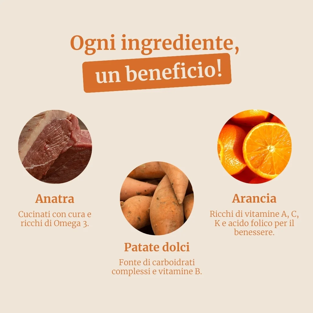 Crocchette con Anatra, Patate dolci e Arancia per cani adulti di taglia piccola - Image 3