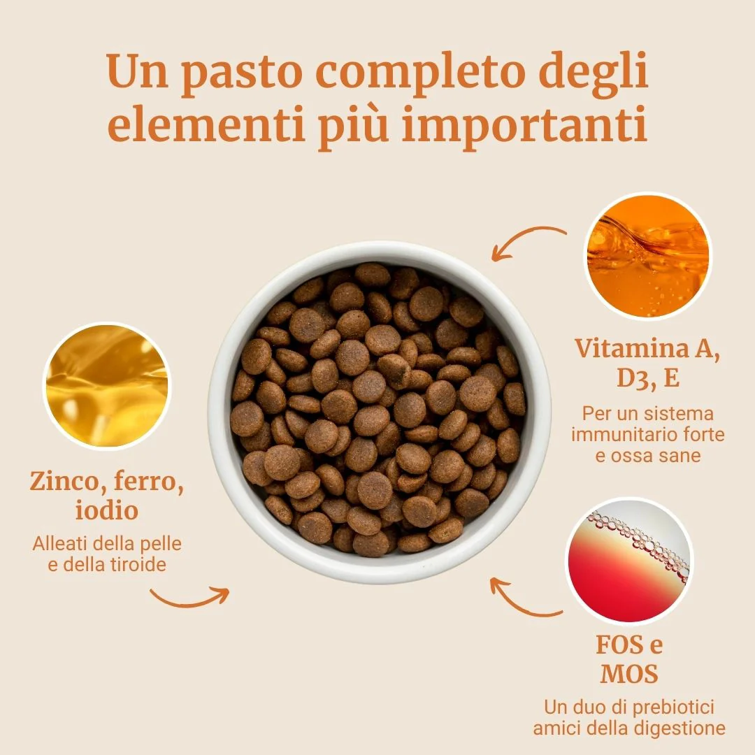 Crocchette con Anatra, Patate dolci e Arancia per cani adulti di taglia piccola - Image 4