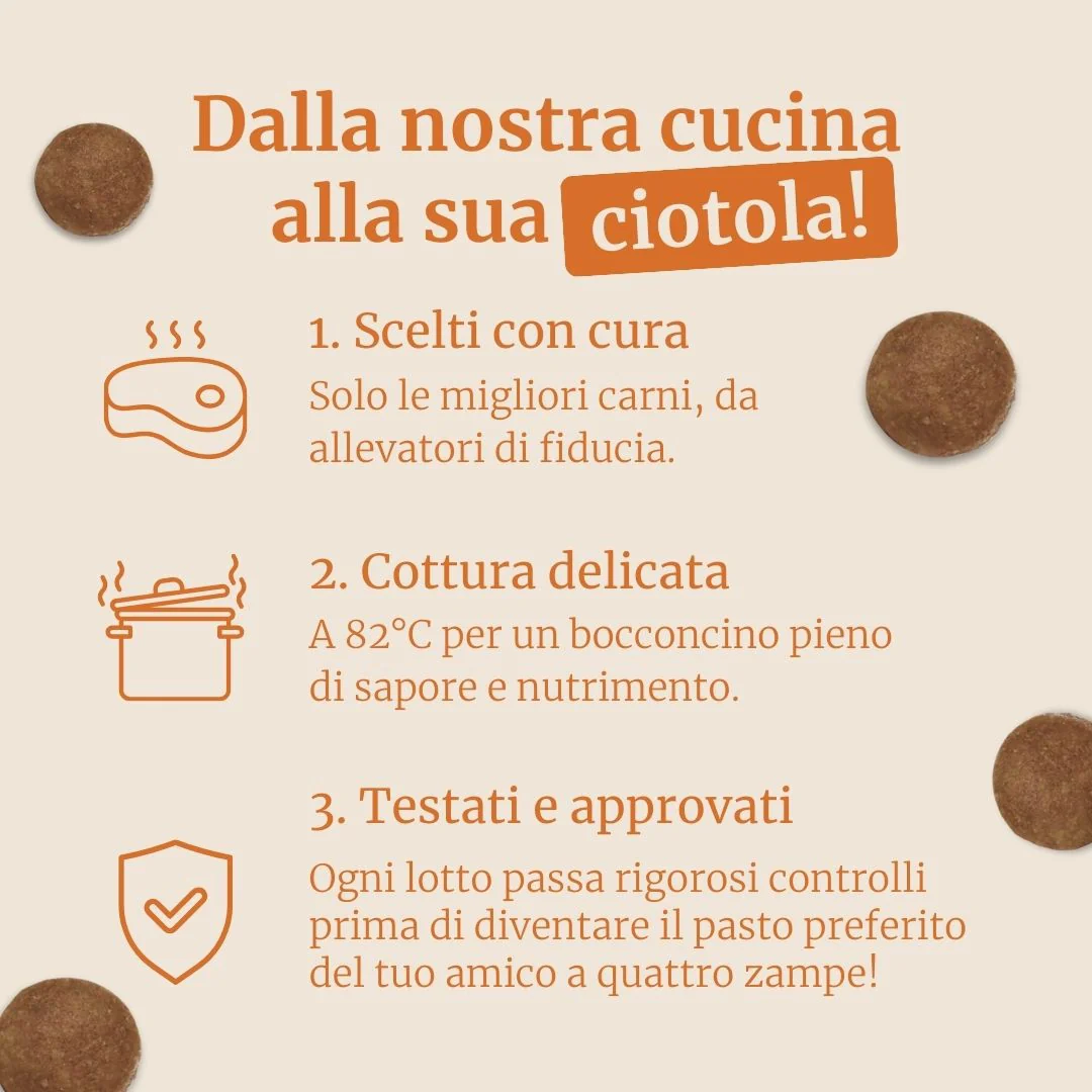 Crocchette con Anatra, Patate dolci e Arancia per cani adulti di taglia piccola - Image 5