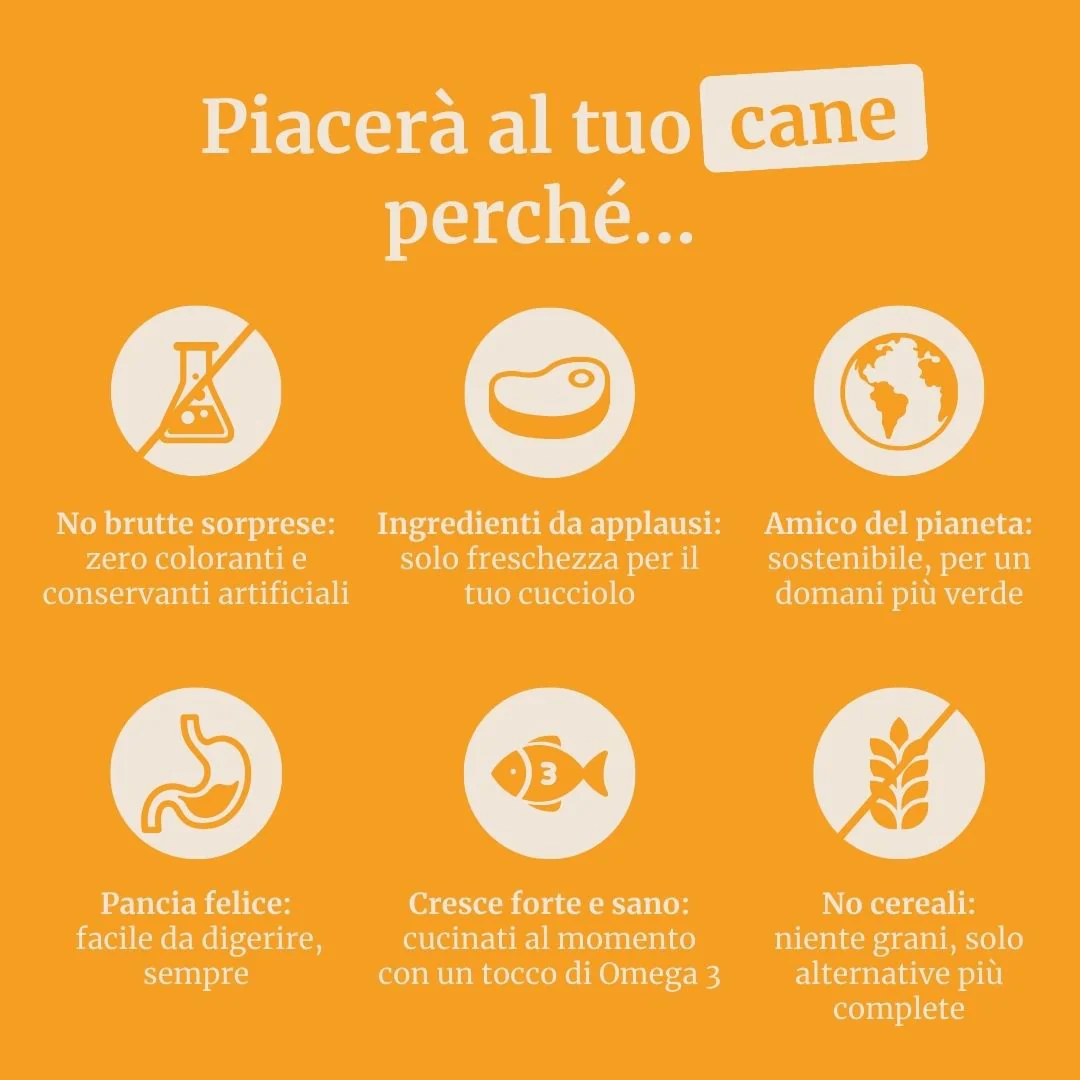 Crocchette con Anatra, Patate dolci e Arancia per cani adulti di taglia piccola - Image 6