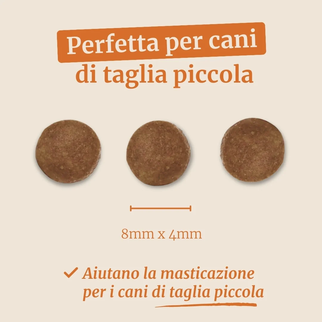 Crocchette con Anatra, Patate dolci e Arancia per cani adulti di taglia piccola - Image 7