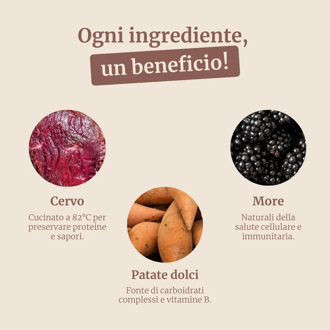 Crocchette con Cervo, Salmone, Patate Dolci e More per cani adulti di taglia media - Image 3