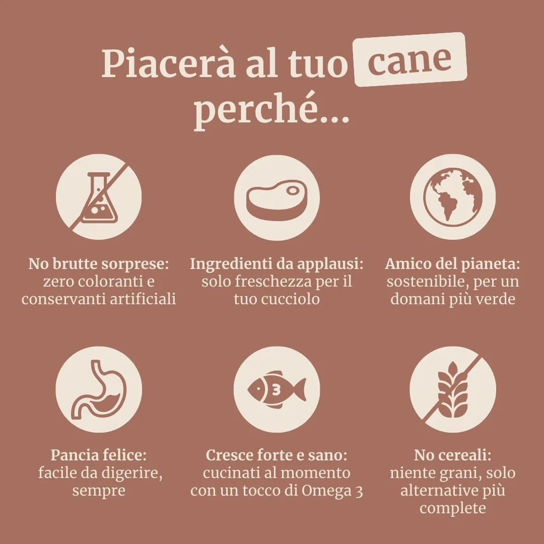 Crocchette con Cervo, Salmone, Patate Dolci e More per cani adulti di taglia media - Image 6