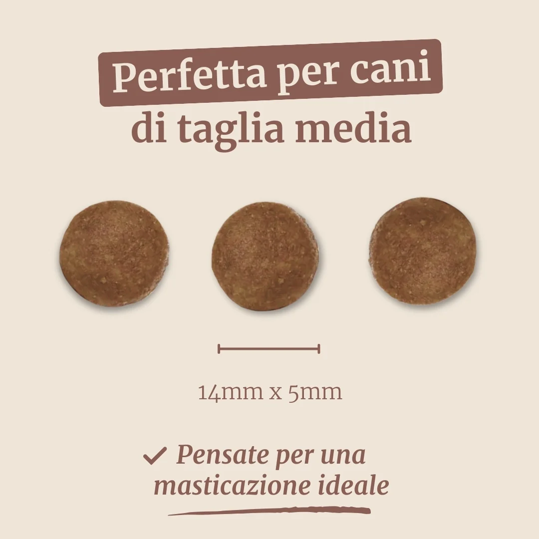 Crocchette con Cervo, Salmone, Patate Dolci e More per cani adulti di taglia media - Image 7
