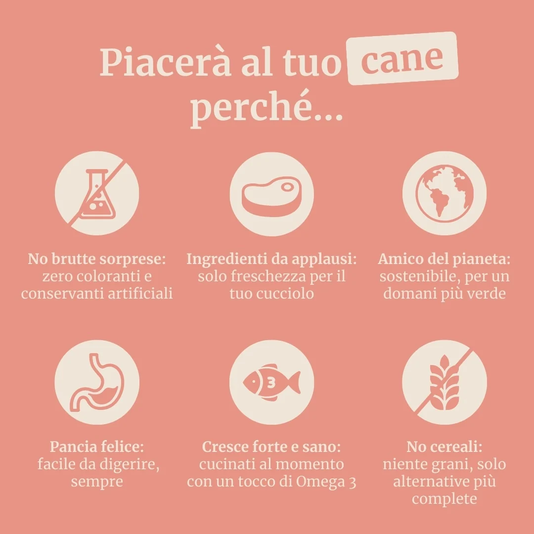 Crocchette con Coniglio, Patate Dolci e More per cani adulti di taglia media - Image 6