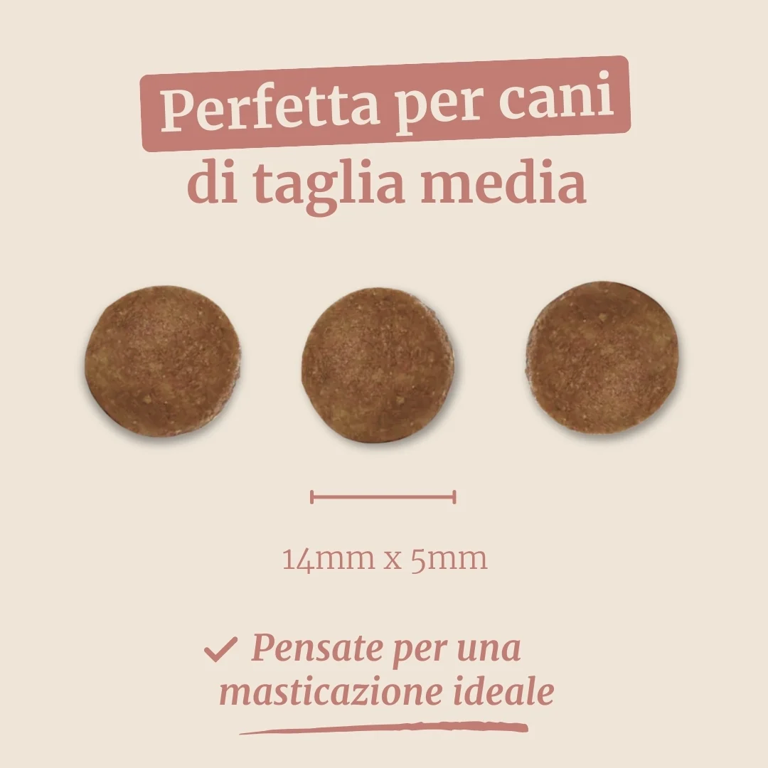 Crocchette con Coniglio, Patate Dolci e More per cani adulti di taglia media - Image 7