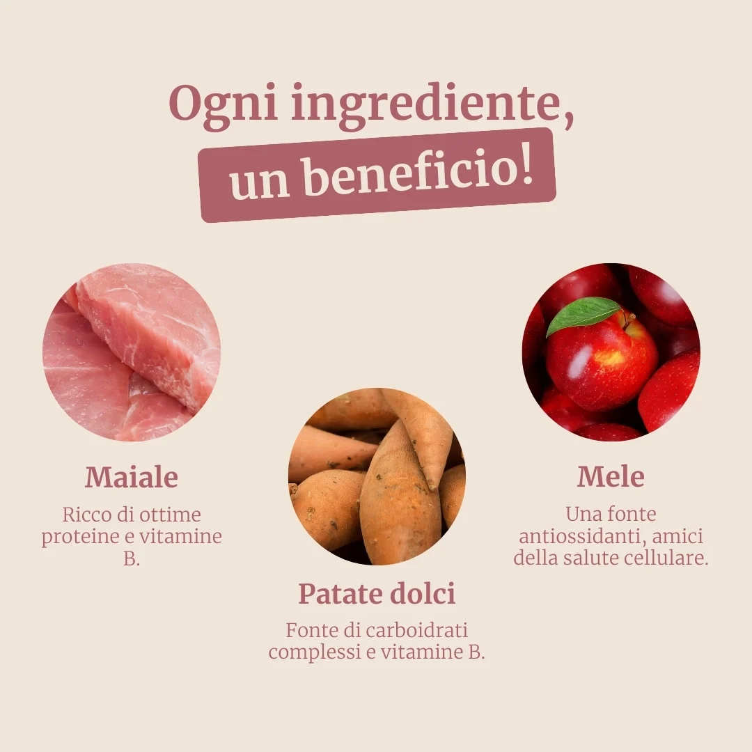 Crocchette con Maiale, Patate Dolci e Mela per cani adulti di taglia media - Image 3