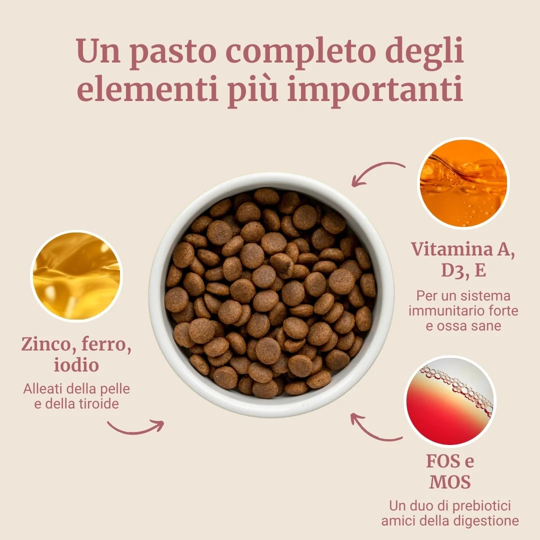 Crocchette con Maiale, Patate Dolci e Mela per cani adulti di taglia media - Image 4
