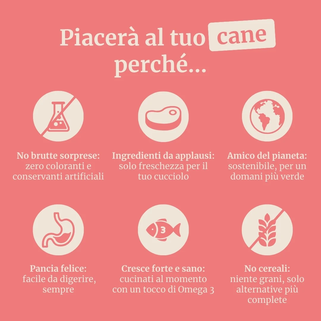 Crocchette con Maiale, Patate Dolci e Mela per cani adulti di taglia media - Image 6