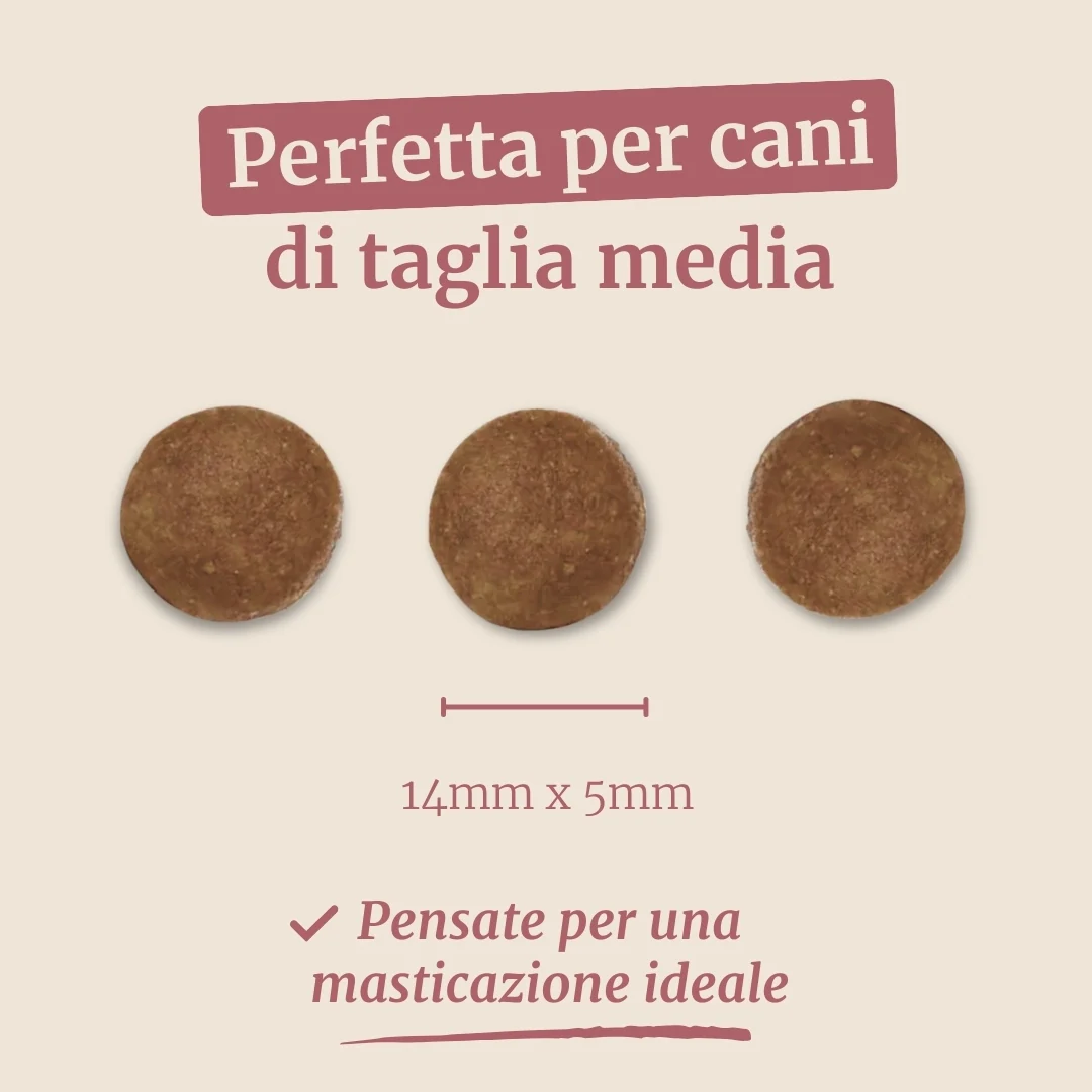 Crocchette con Maiale, Patate Dolci e Mela per cani adulti di taglia media - Image 7