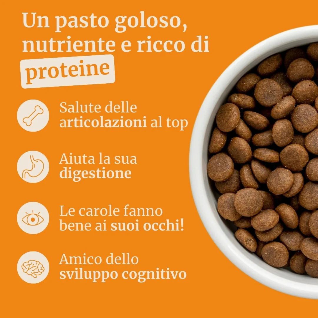 Crocchette con Manzo Angus , Patate Dolci e Carota per cani adulti di taglia media - Image 2
