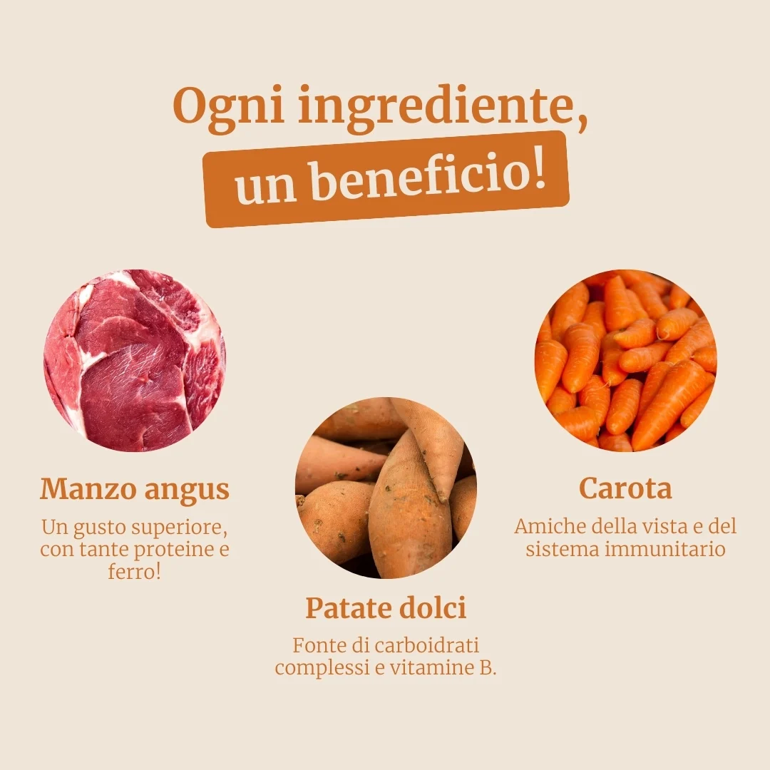 Crocchette con Manzo Angus , Patate Dolci e Carota per cani adulti di taglia media - Image 3