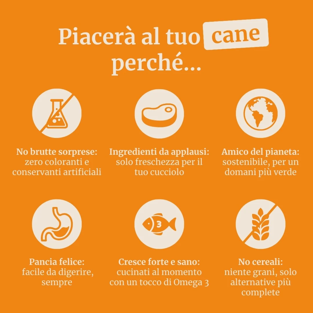 Crocchette con Manzo Angus , Patate Dolci e Carota per cani adulti di taglia media - Image 6