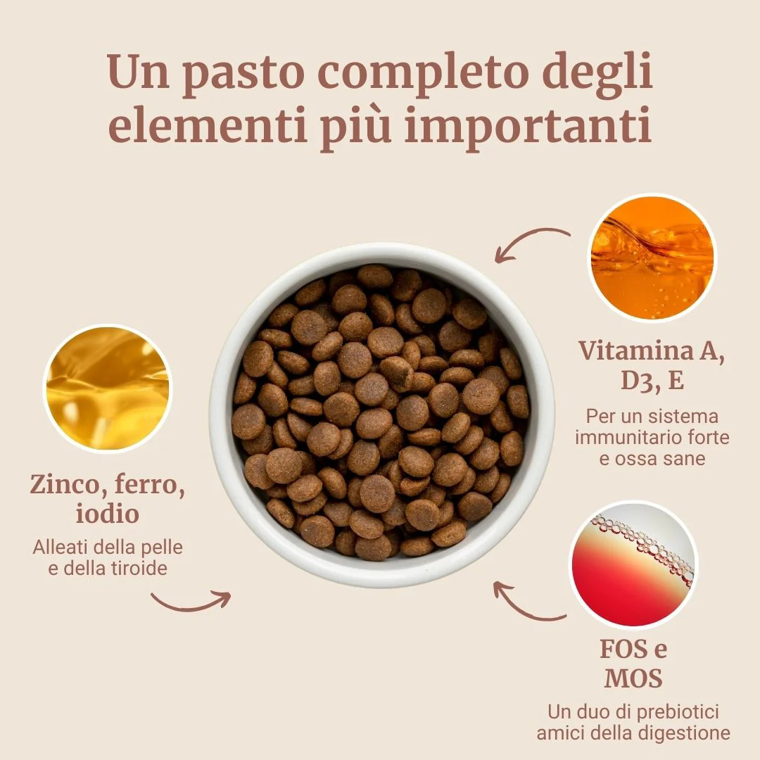 Crocchette con Pollo, Patate Dolci ed Erbe per cani adulti di taglia media - Image 4