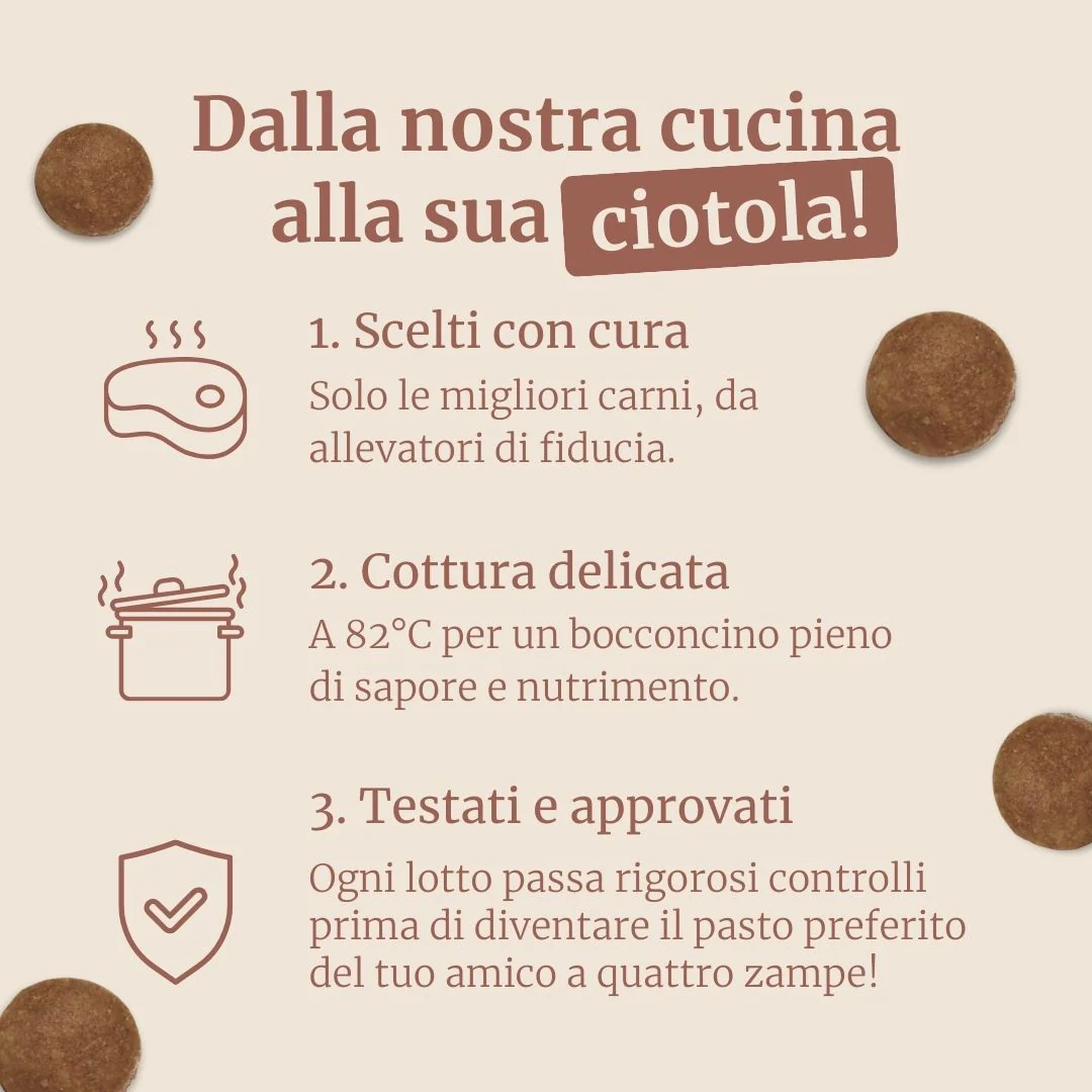 Crocchette con Pollo, Patate Dolci ed Erbe per cani adulti di taglia media - Image 5