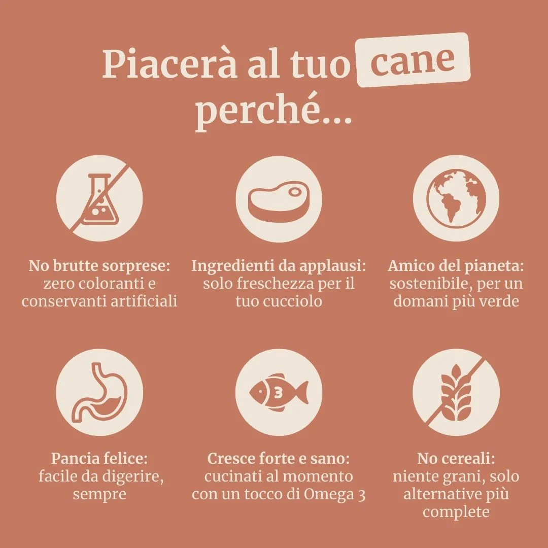 Crocchette con Pollo, Patate Dolci ed Erbe per cani adulti di taglia media - Image 6