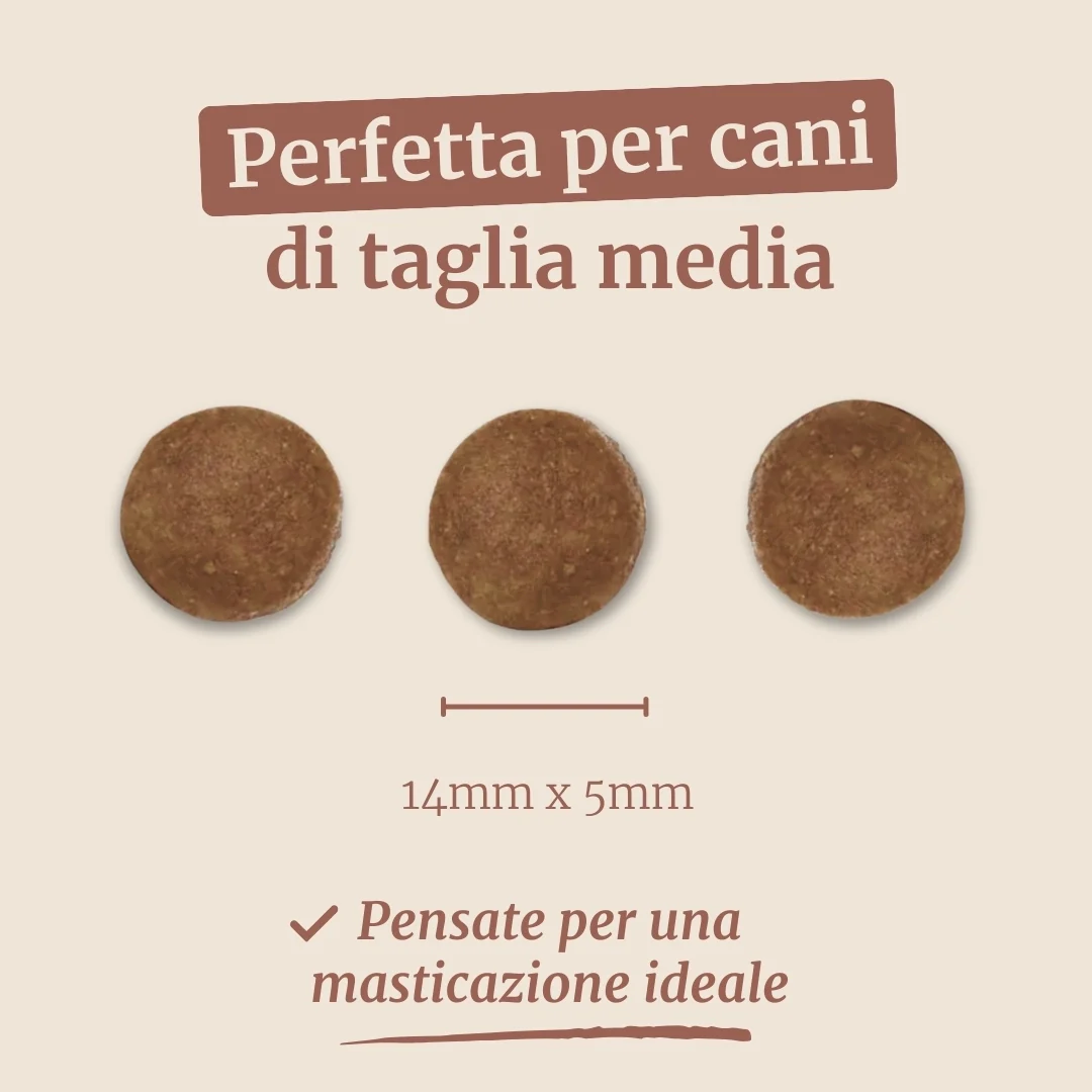 Crocchette con Pollo, Patate Dolci ed Erbe per cani adulti di taglia media - Image 7