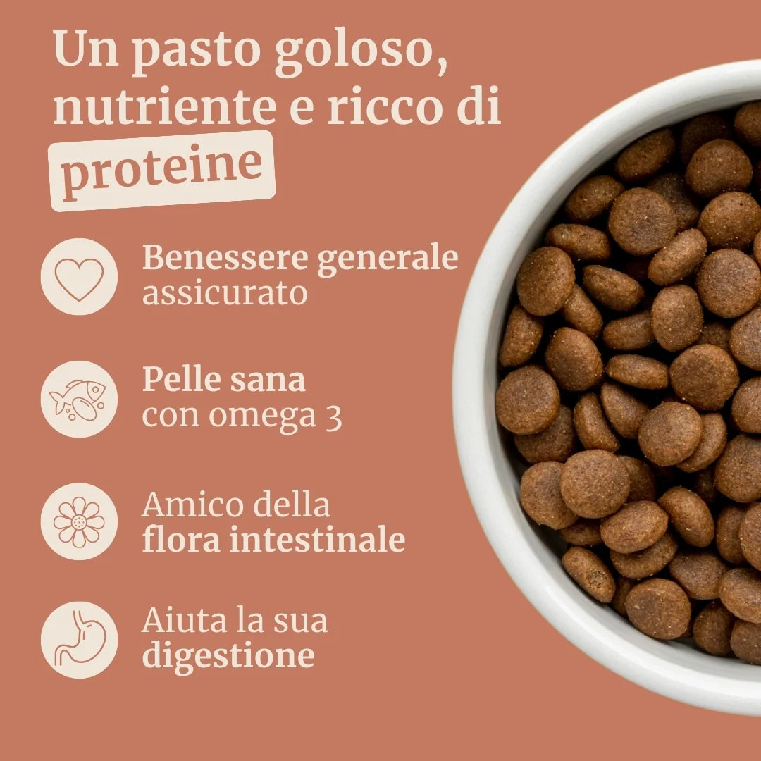 Crocchette con Pollo, Patate Dolci ed Erbe per cani adulti di taglia piccola - Image 2