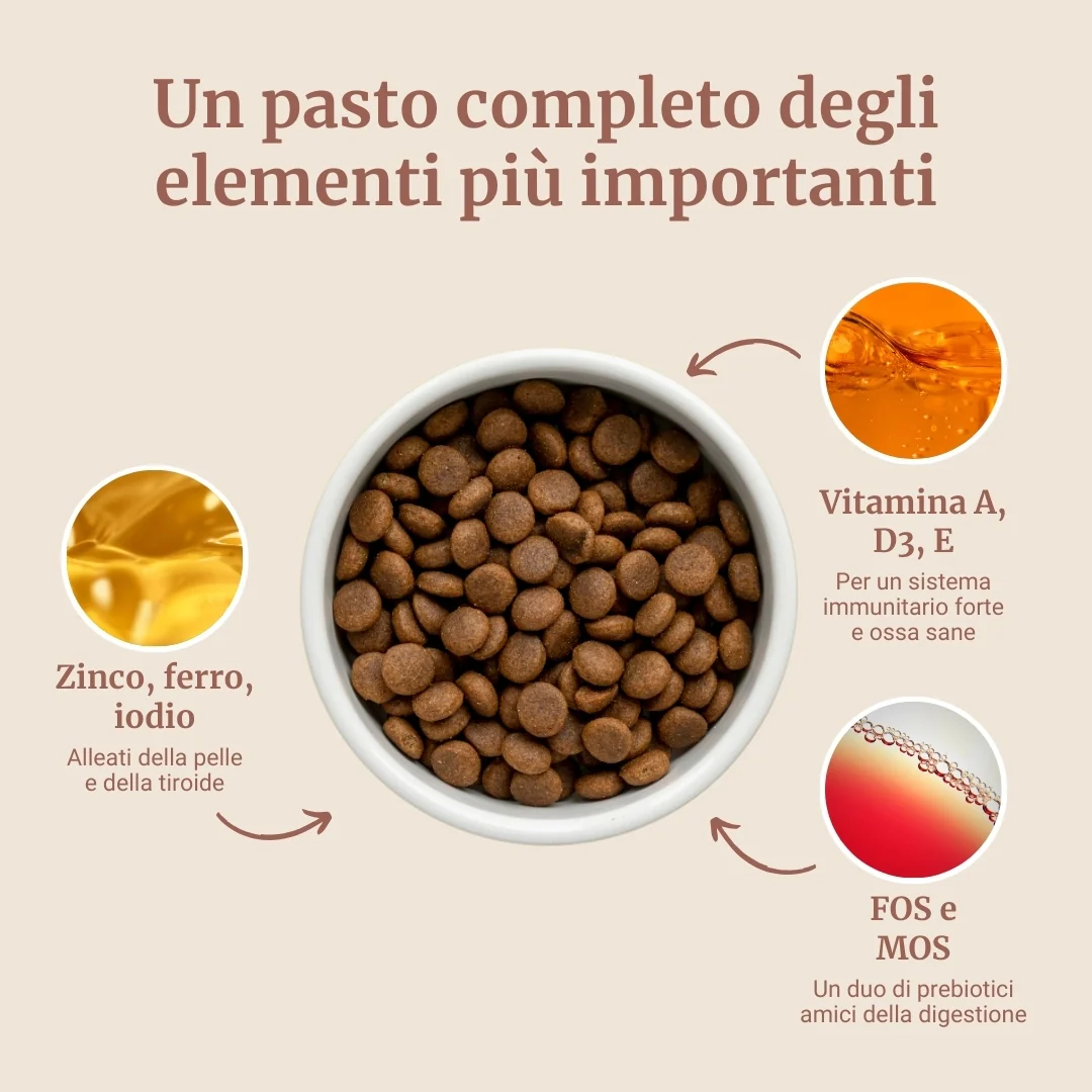 Crocchette con Pollo, Patate Dolci ed Erbe per cani adulti di taglia piccola - Image 4