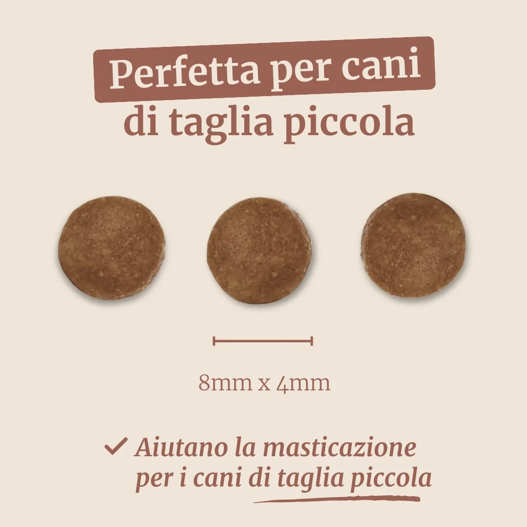 Crocchette con Pollo, Patate Dolci ed Erbe per cani adulti di taglia piccola - Image 7