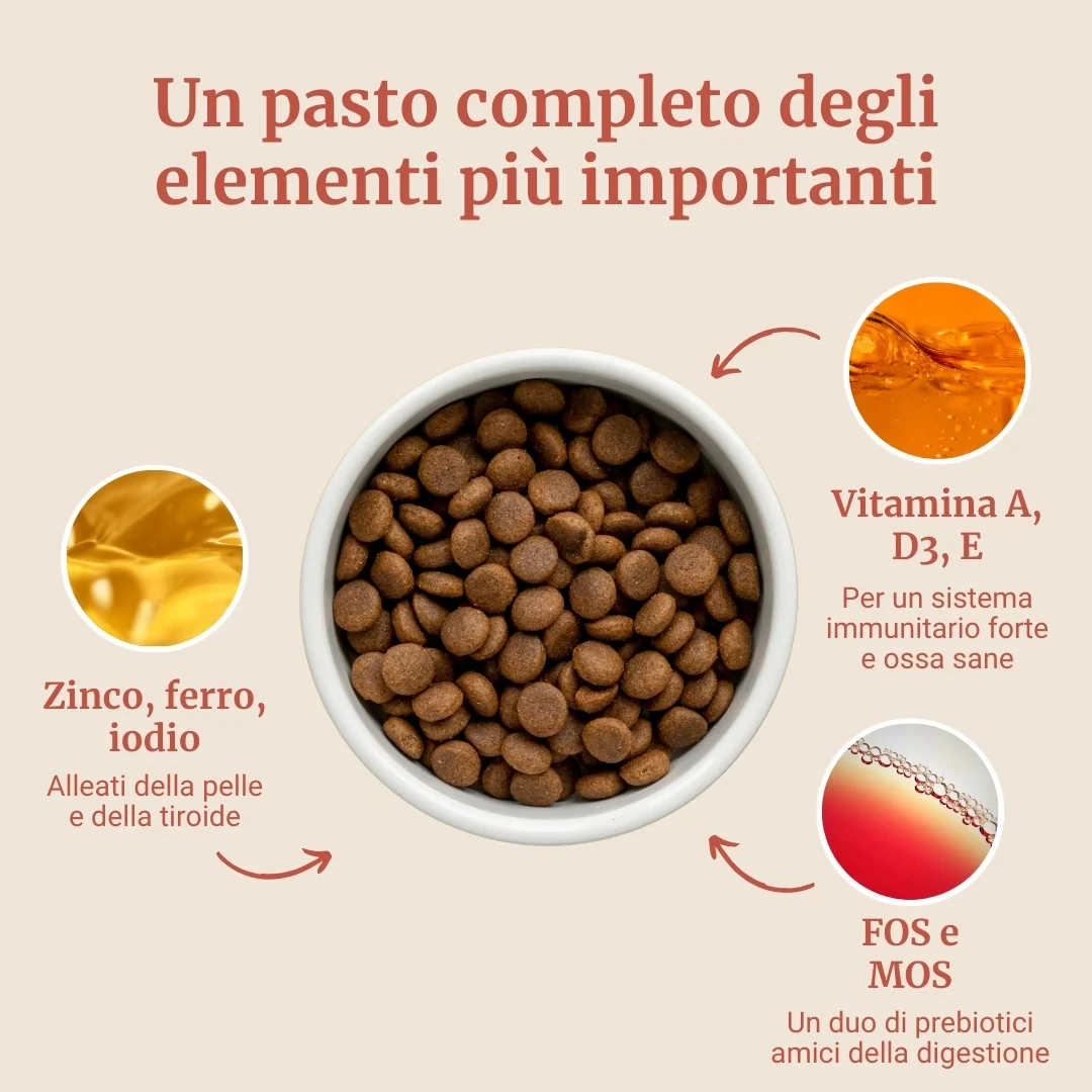 Crocchette con Salmone, Trota, Patate Dolci e Asparagi per cani adulti di taglia grande - Image 4