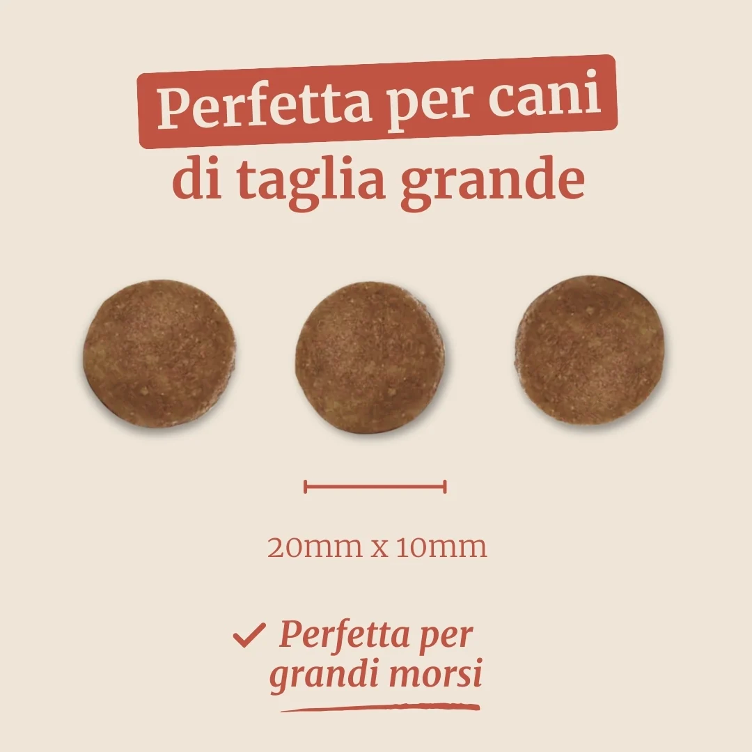 Crocchette con Salmone, Trota, Patate Dolci e Asparagi per cani adulti di taglia grande - Image 7