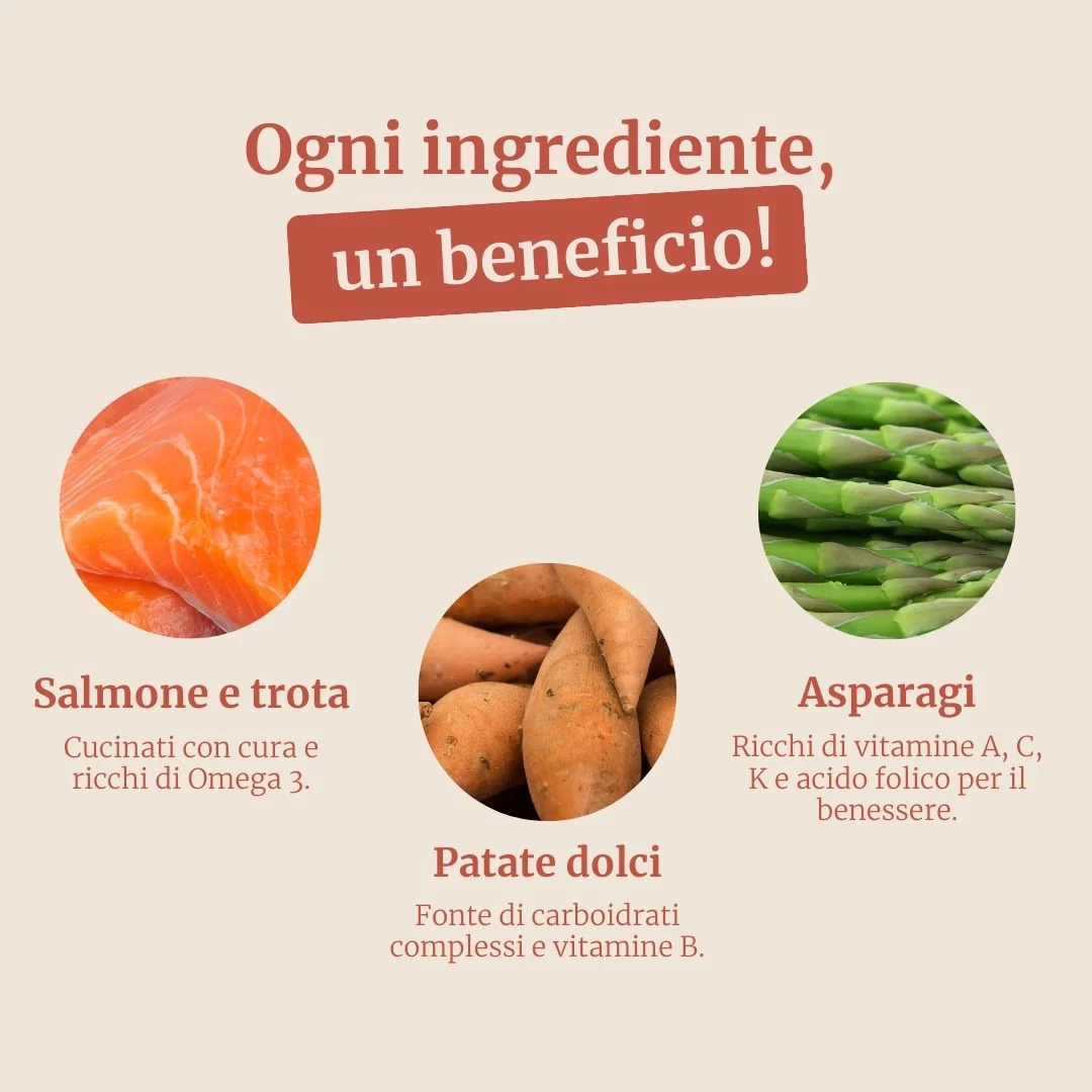Crocchette con Salmone, Trota, Patate Dolci e Asparagi per cani adulti di taglia piccola - Image 3