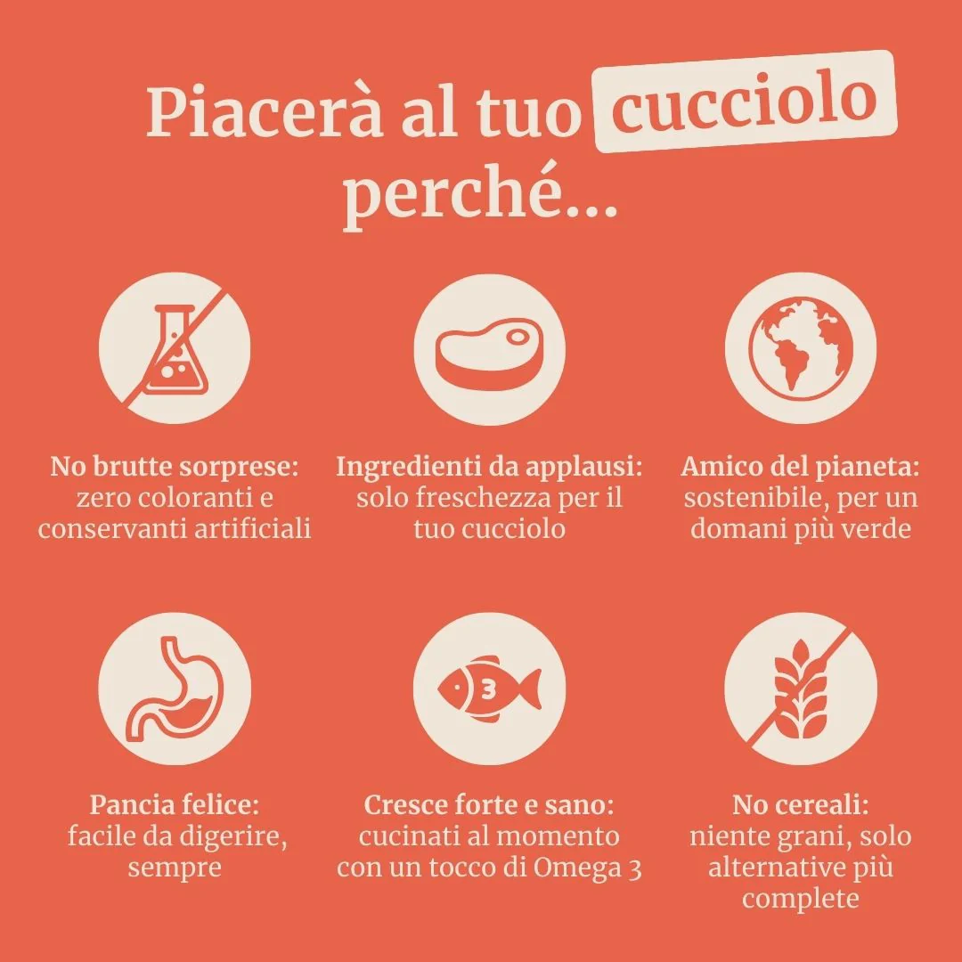 Crocchette con Salmone, Trota, Patate Dolci e Asparagi per cani adulti di taglia piccola - Image 6