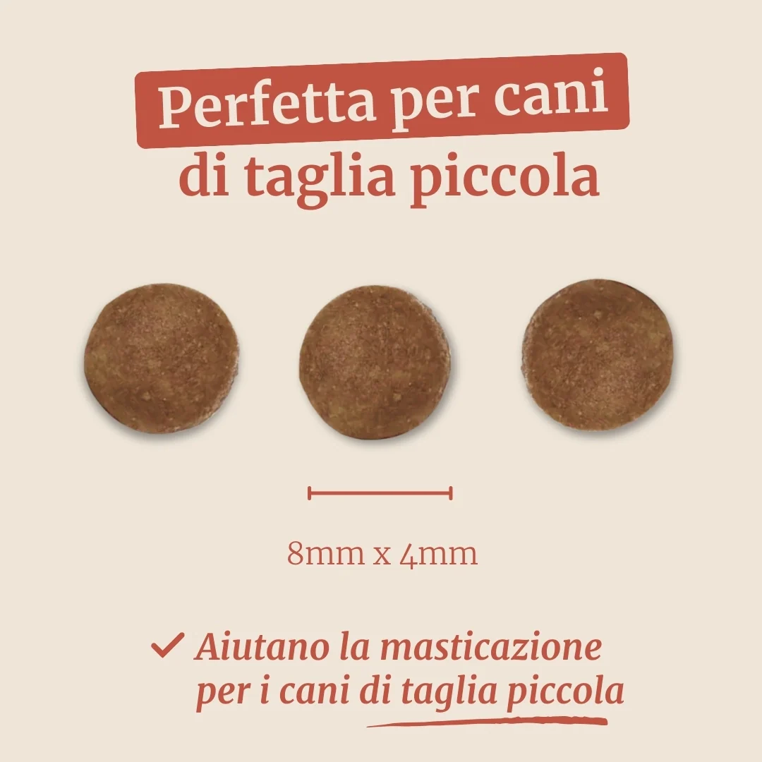 Crocchette con Salmone, Trota, Patate Dolci e Asparagi per cani adulti di taglia piccola - Image 7