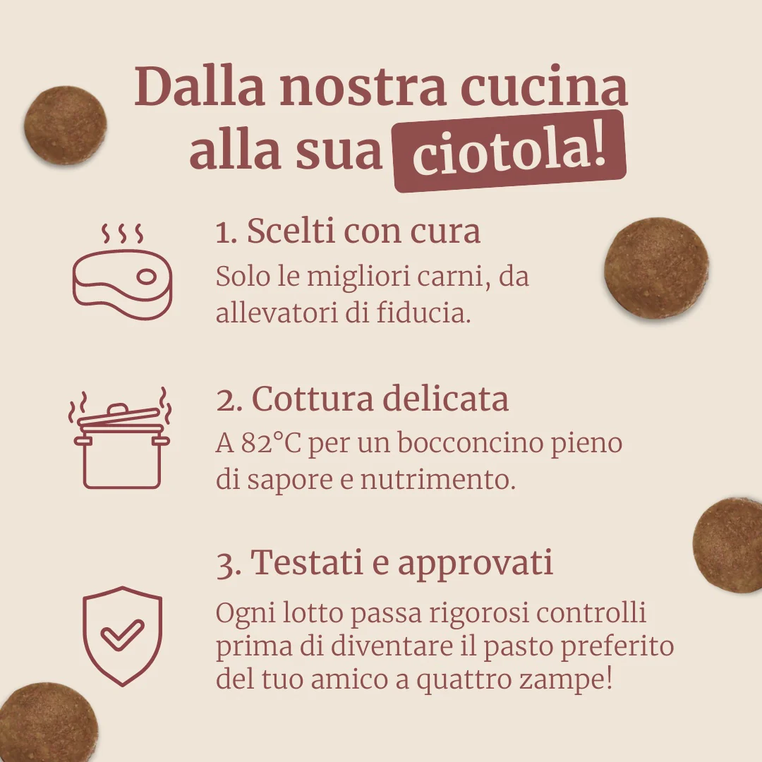 Crocchette con Tacchino, Patate Dolci e Mirtillo Rosso per cani adulti di taglia grande - Image 5