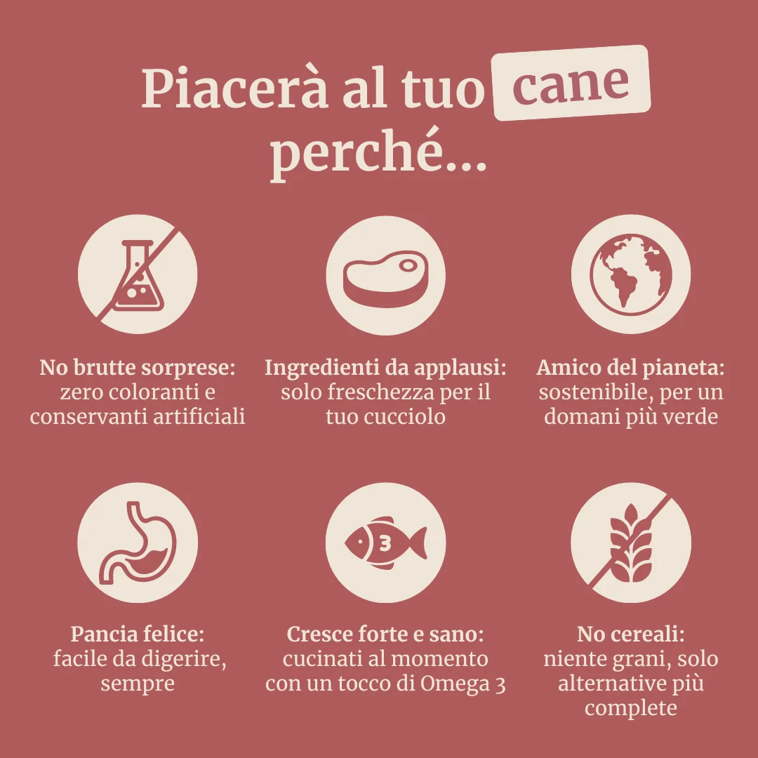 Crocchette con Tacchino, Patate Dolci e Mirtillo Rosso per cani adulti di taglia grande - Image 6