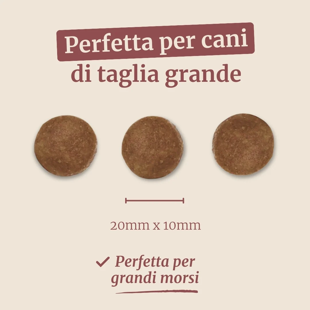 Crocchette con Tacchino, Patate Dolci e Mirtillo Rosso per cani adulti di taglia grande - Image 7