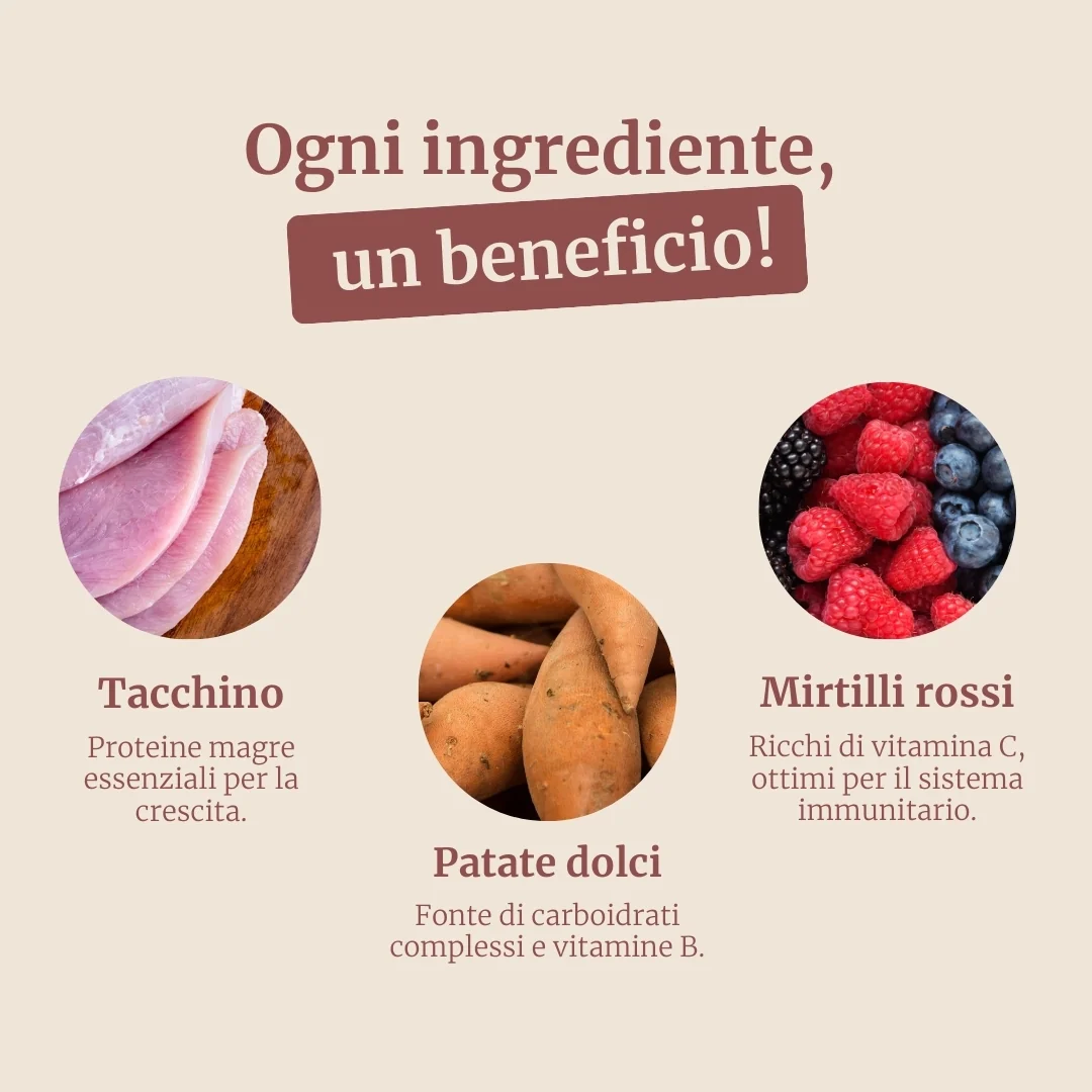 Crocchette con Tacchino, Patate Dolci e Mirtillo Rosso per cani adulti di taglia media - Image 3