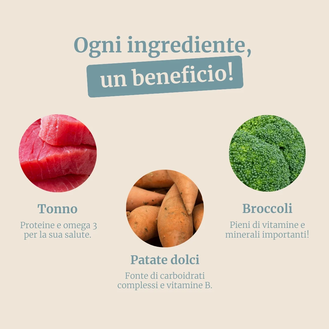Crocchette con Tonno, Patate Dolci e Broccoli per cani adulti di taglia media - Image 3