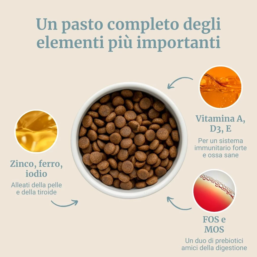 Crocchette con Tonno, Patate Dolci e Broccoli per cani adulti di taglia media - Image 4
