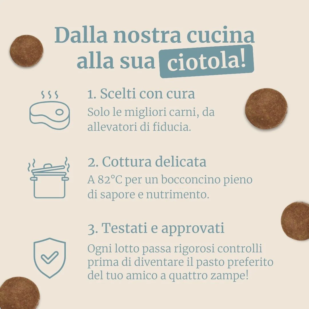 Crocchette con Tonno, Patate Dolci e Broccoli per cani adulti di taglia media - Image 5