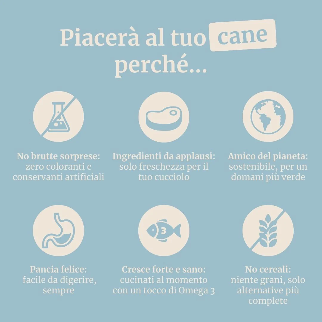 Crocchette con Tonno, Patate Dolci e Broccoli per cani adulti di taglia media - Image 6