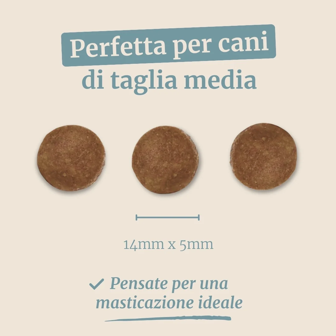 Crocchette con Tonno, Patate Dolci e Broccoli per cani adulti di taglia media - Image 7