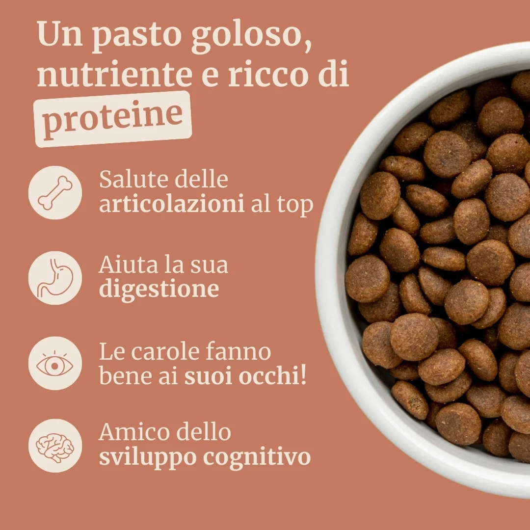Crocchette con Pollo, Tacchino, Salmone, Patate Dolci e Carota per cani cuccioli di taglia media - Image 2