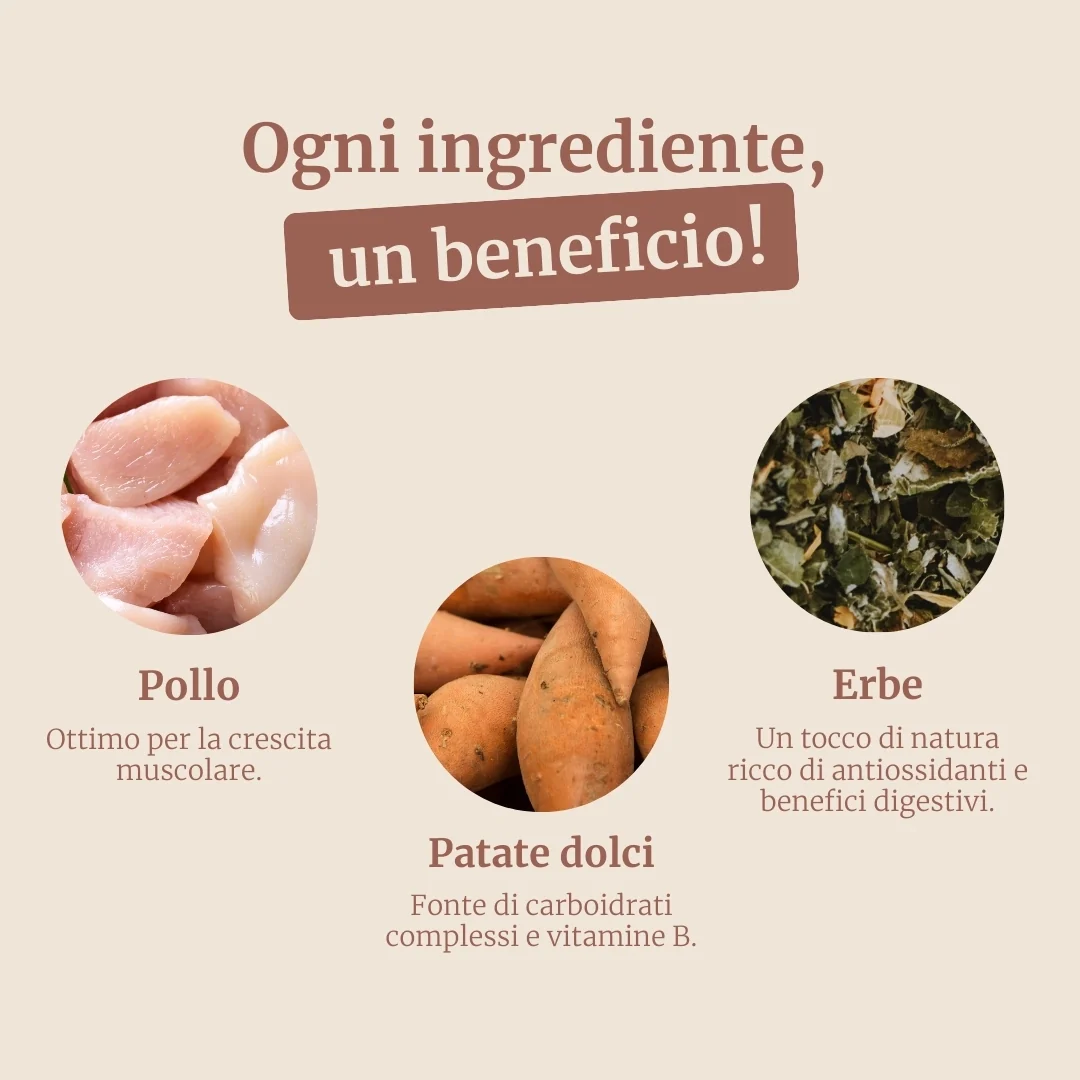 Crocchette con Pollo, Tacchino, Salmone, Patate Dolci e Carota per cani cuccioli di taglia media - Image 3